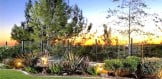 Picturesque Backyard Professionally Landscaped w/ Raised Ornamen